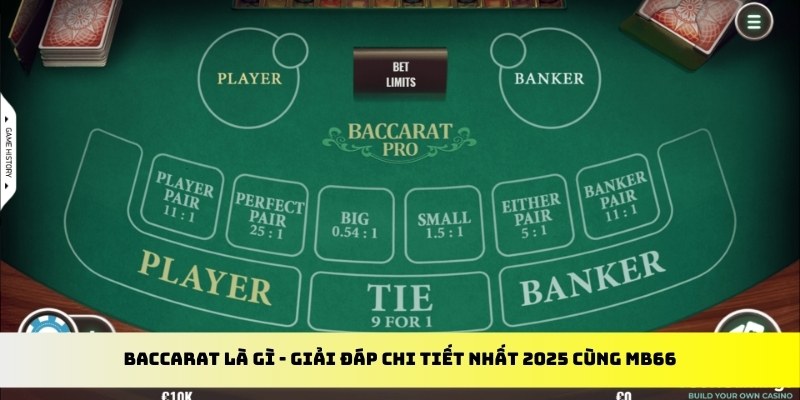 868vip1 gà chọi cu cần