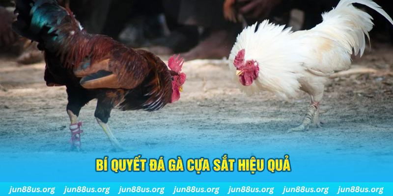 868vip1 xin 1 slot là gì