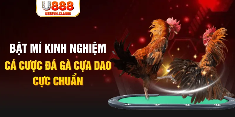 868vip1 tỷ lệ cá cược châu á là gì
