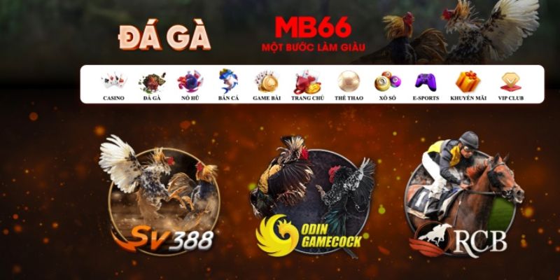 868vip1 đăng nhập poker số 1