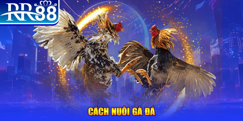 868vip1 xổ số an giang