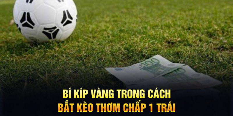 868vip1 sổ xô miên bắc