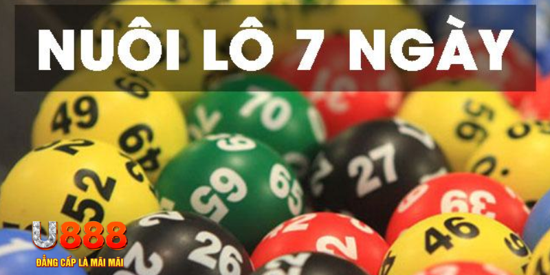 868vip1 slot là j