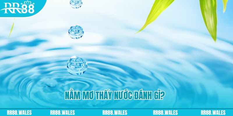 868vip1 TP Bắn cá
