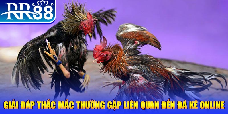 868vip1 xổ số đà lạt