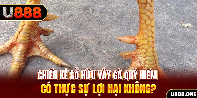 868vip1 nohu .mx nổ hủ là gì