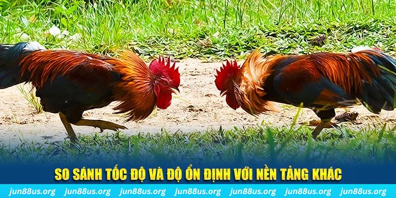 868vip1 đá gà hôm nay