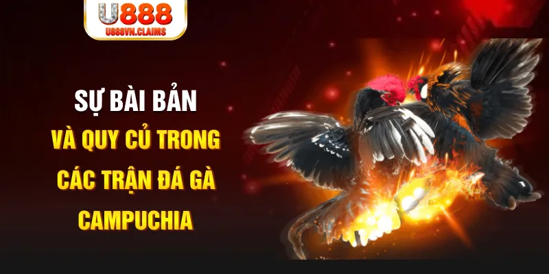 868vip1 YGR Điện Tử