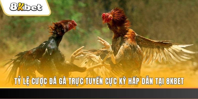 868vip1 đăng nhập phỏm trực tiếp