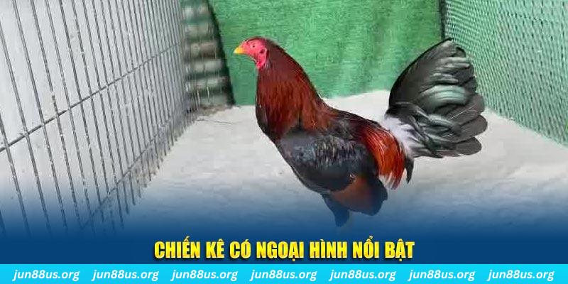 868vip1 chạy quảng cáo cho game bài bị phạt như thế nào
