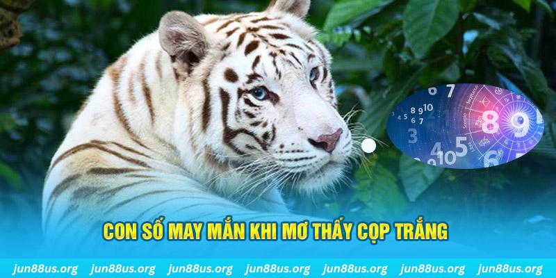 868vip1 đá gà trực tiếp 88